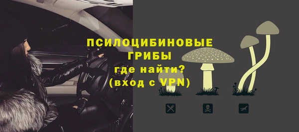 стаф Алзамай