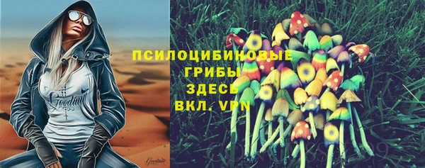 стаф Алзамай