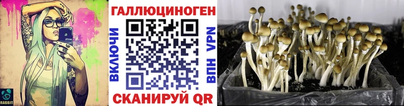 наркошоп  Санкт-Петербург  Галлюциногенные грибы ЛСД 