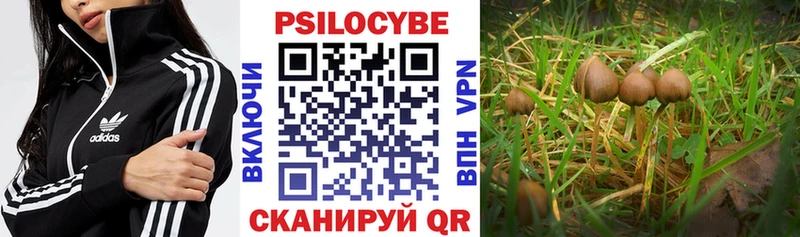 Галлюциногенные грибы GOLDEN TEACHER Санкт-Петербург